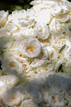 Arôme de Fleur: Room Fragrance