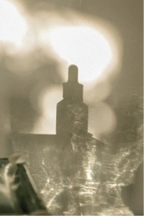 Mother Elder Tincture